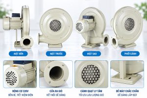 Quạt Sò Ly Tâm 220V Chính Hãng, Giá Tốt